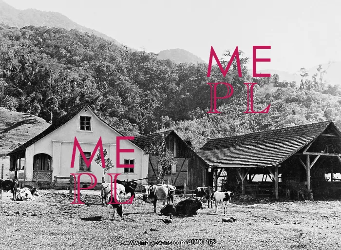 : The courtyard of a German immigrant family, 1939 : The courtyard of a German immigrant family, 1939