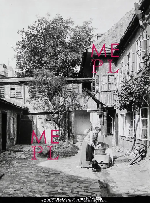 : Courtyard of a house at Althangasse : Courtyard of a house at Althangasse