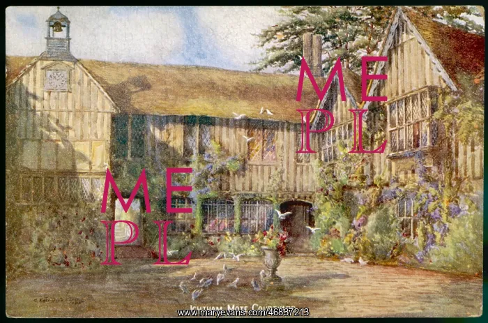 : COURTYARD / IGHTHAM MOTE : COURTYARD / IGHTHAM MOTE