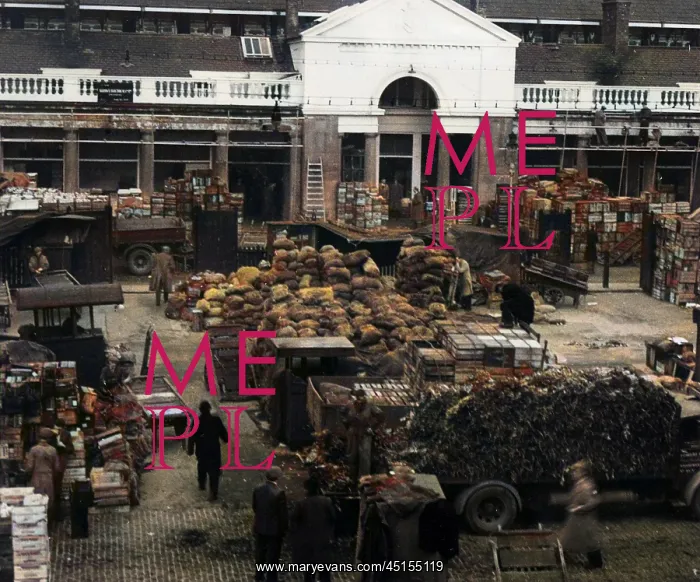 : COVENT GARDEN MARKET : COVENT GARDEN MARKET