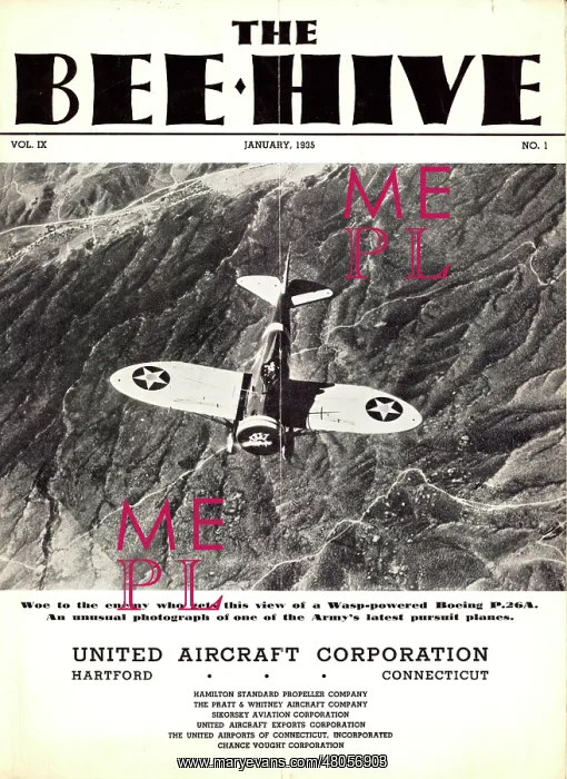 : The front cover of The Bee Hive volume IX : The front cover of The Bee Hive volume IX