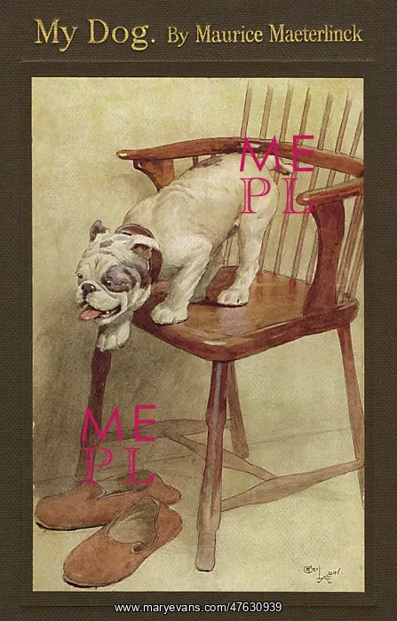 : Cover design by Cecil Aldin, My Dog : Cover design by Cecil Aldin, My Dog