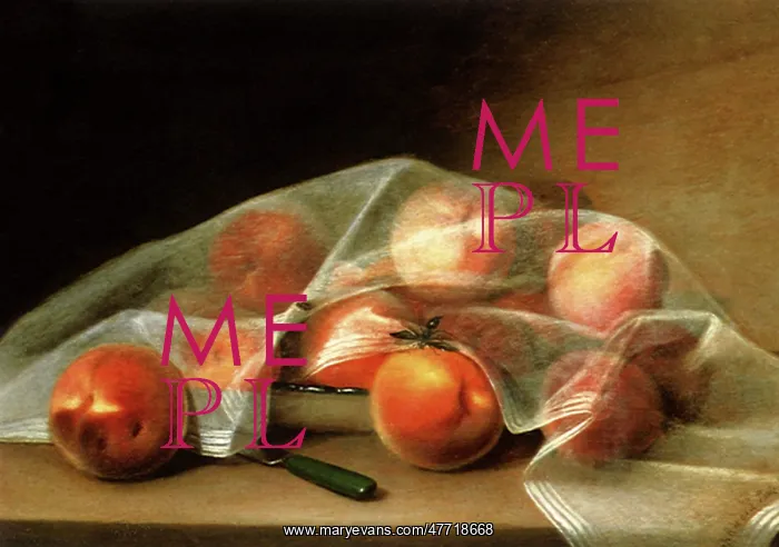  : A Covered Painting, or Fruit Piece
