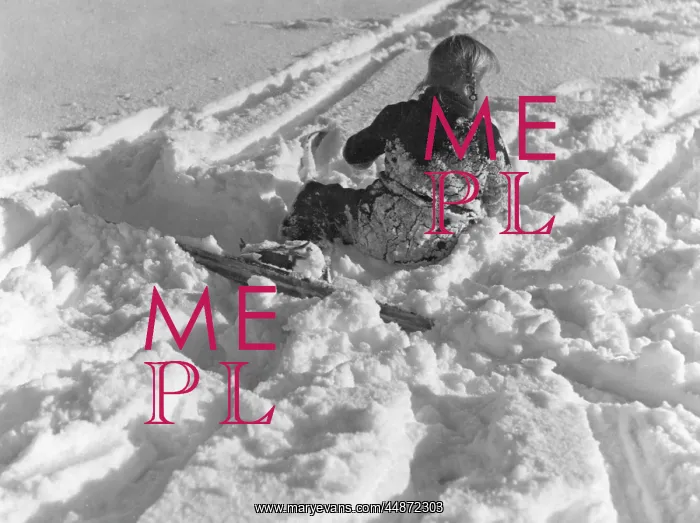 : COVERED IN SNOW! : COVERED IN SNOW!
