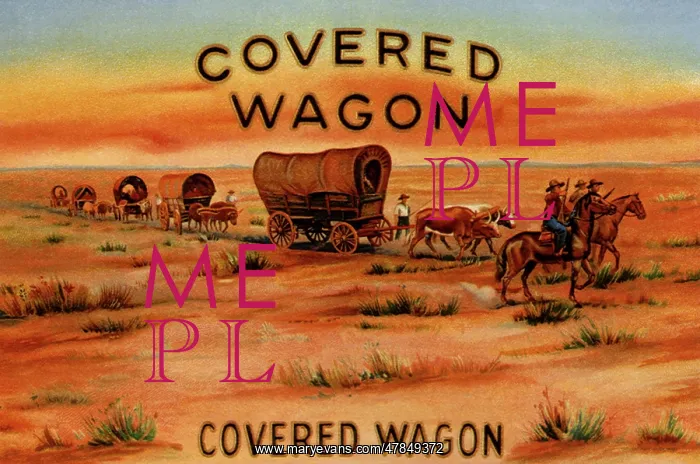  : Covered Wagon