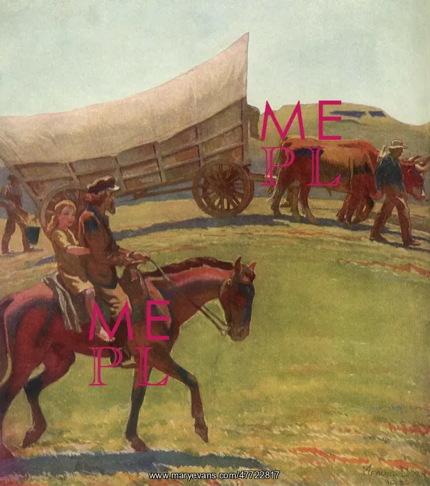  : Covered Wagon and Oxen