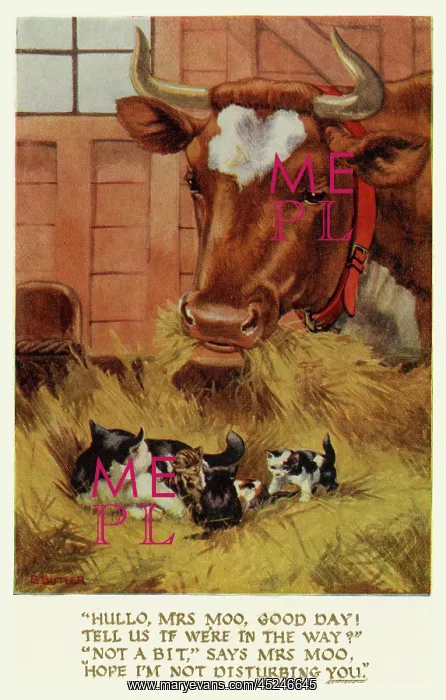 : Cow, cat & kittens : Cow, cat & kittens