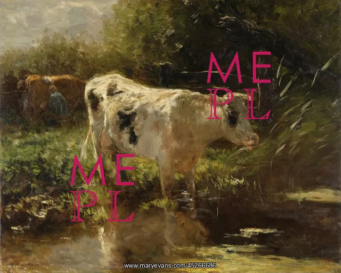 : Cow Beside a Ditch : Cow Beside a Ditch