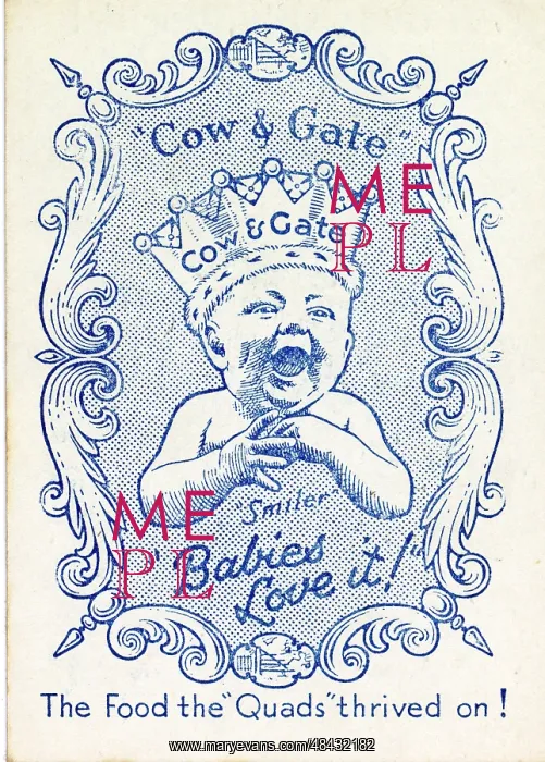 : Cow & Gate Snap - back of card : Cow & Gate Snap - back of card