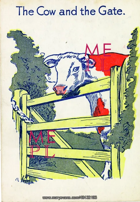  : Cow & Gate Snap - The Cow and the Gate