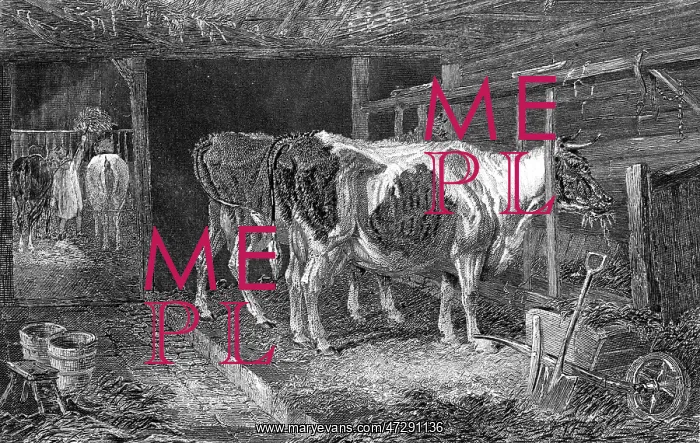  : COW HOUSE, CA 1840