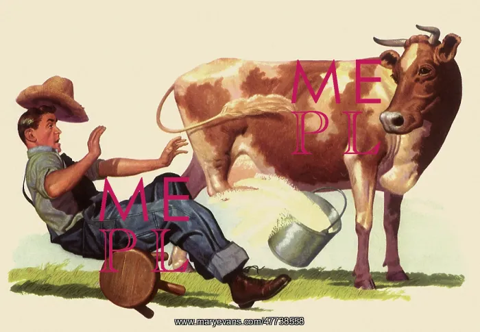  : Cow kicks over Farmer and Bucket of Milk