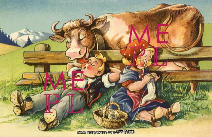 : Cow Lick : Cow Lick