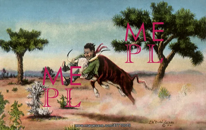  : Cow Riding