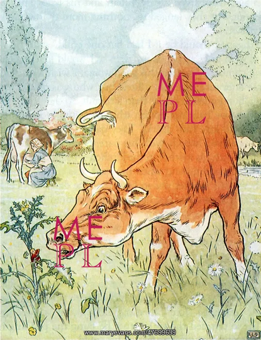  : Cow Sees Tom Thumb