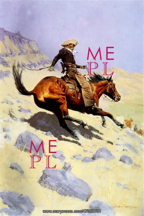  : The Cowboy