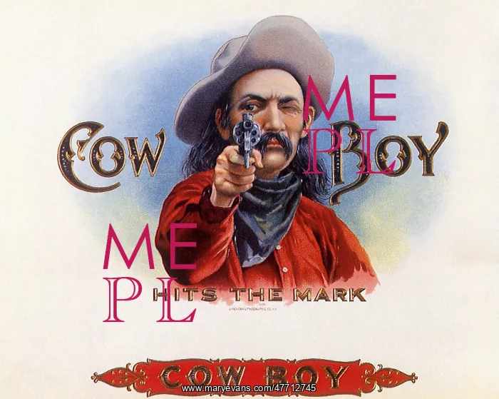  : Cowboy