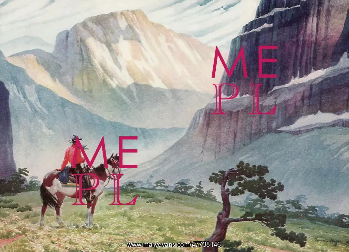  : Cowboy admiring view of Mountains