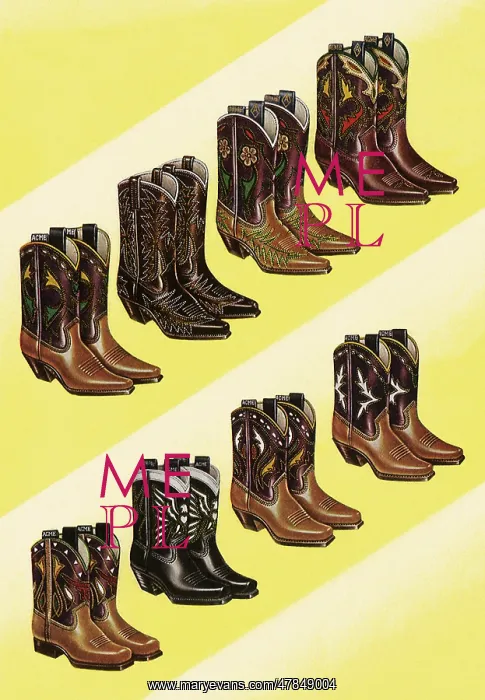  : Cowboy Boots