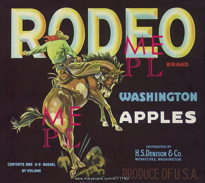  : Cowboy and Bronc Label
