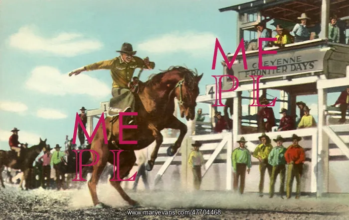  : Cowboy and Bronco