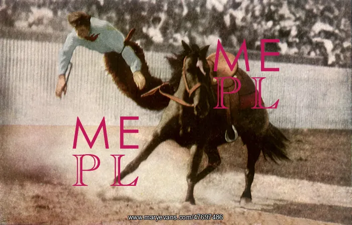  : Cowboy Bucked Off