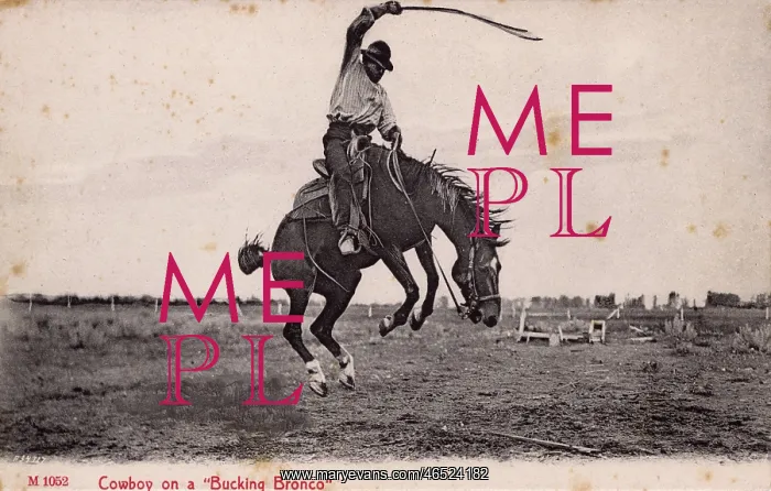  : Cowboy on a Bucking Bronco