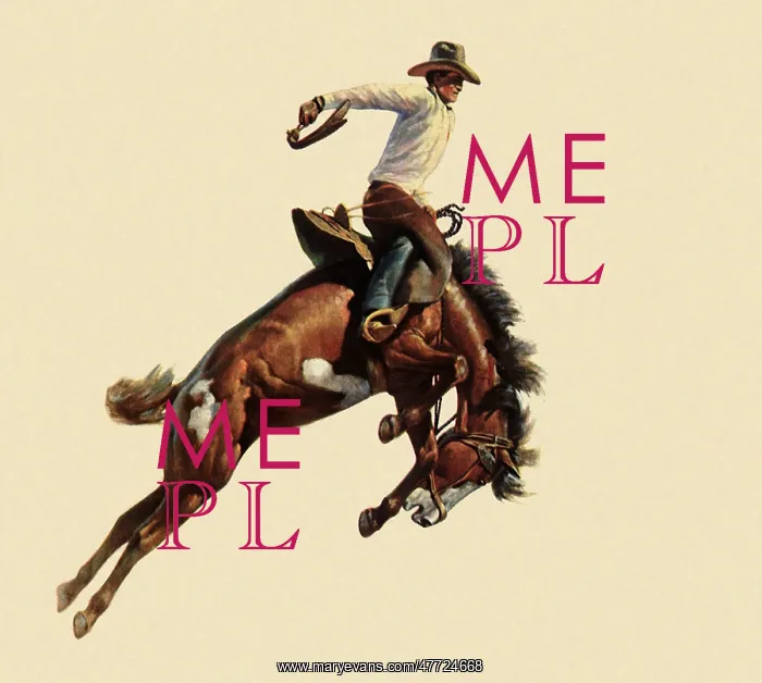  : Cowboy on bucking Horse