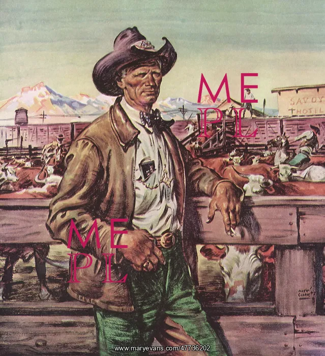  : Cowboy and Fence