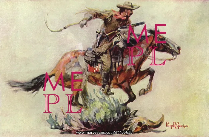  : Cowboy on Horse