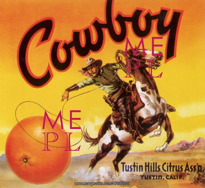 : Cowboy Lassoing Orange