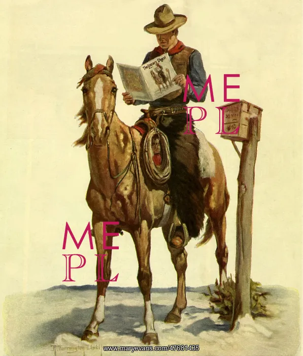  : Cowboy Reading Mail