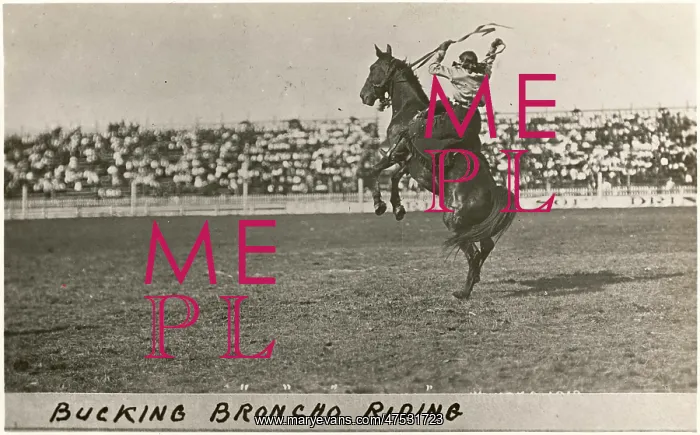  : Cowboy riding a bucking Broncho
