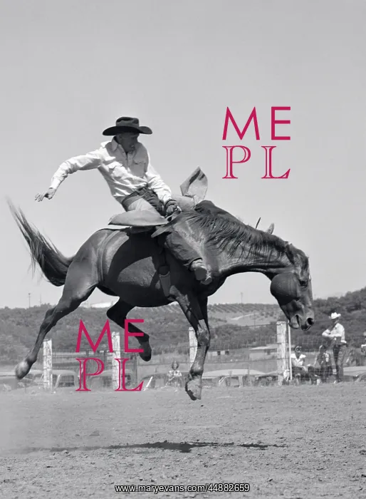  : Cowboy Riding A Horse On A Ranch