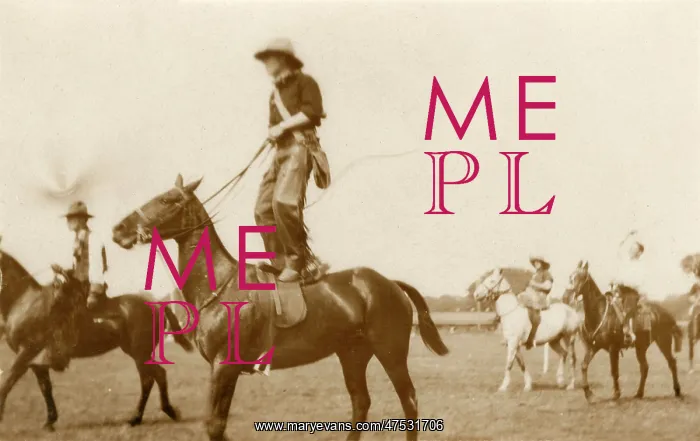  : Cowboy riding on a horse, standing on its back