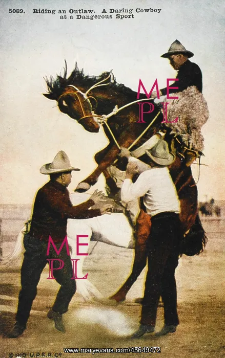 : Cowboy Riding an outlaw : Cowboy Riding an outlaw