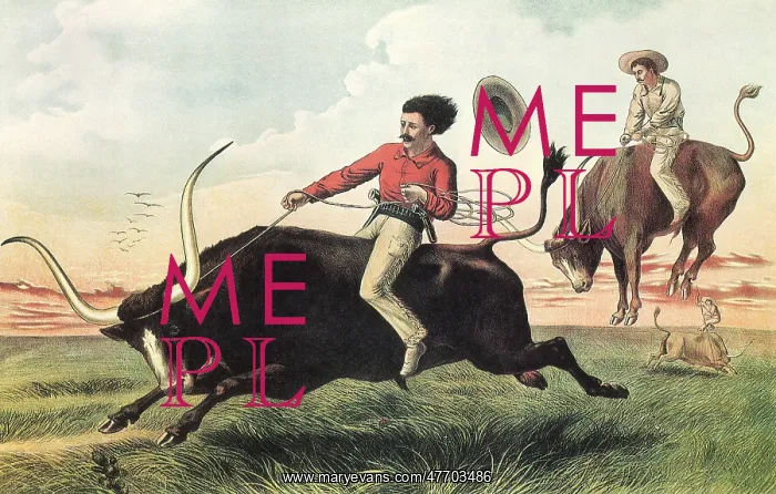  : Cowboy Riding Steer