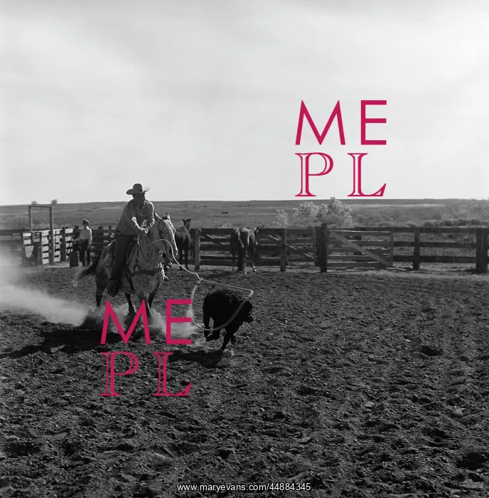  : Cowboy Rodeo Rider Competitor