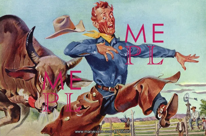  : Cowboy runs from Charging Bull