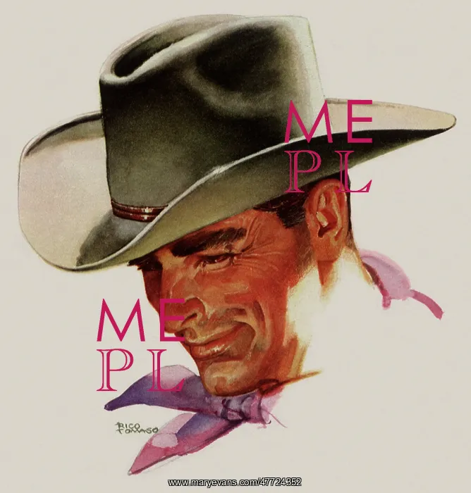  : Cowboy in Stetson