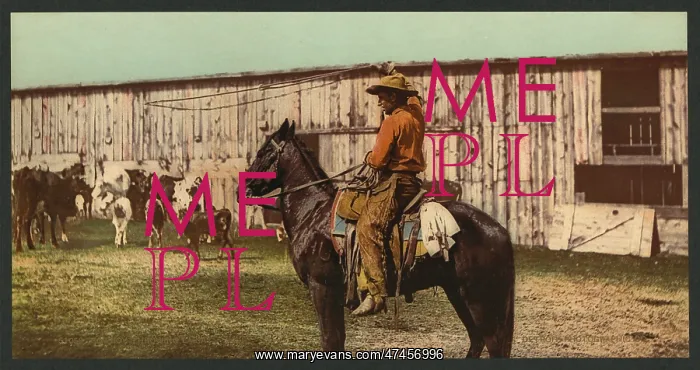 : Cowboy throwing lariat : Cowboy throwing lariat