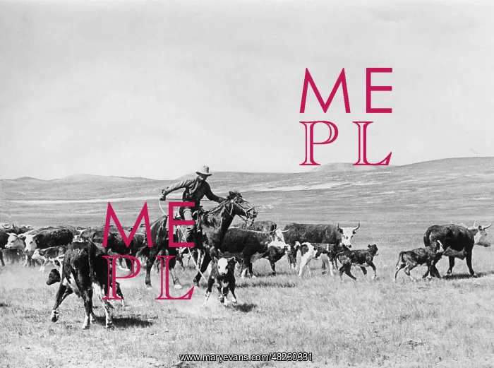 : Cowboy in the USA, 1928 : Cowboy in the USA, 1928