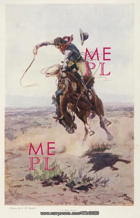  : Cowboy versus Horse