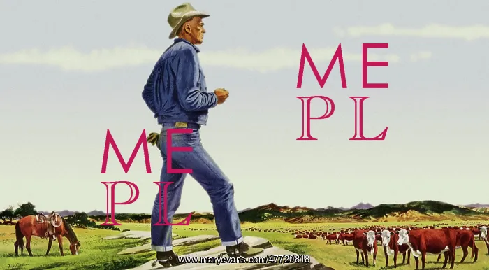  : Cowboy Views Herd