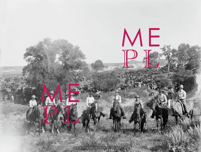 : Cowboys - Horses - Cattle - Texas : Cowboys - Horses - Cattle - Texas