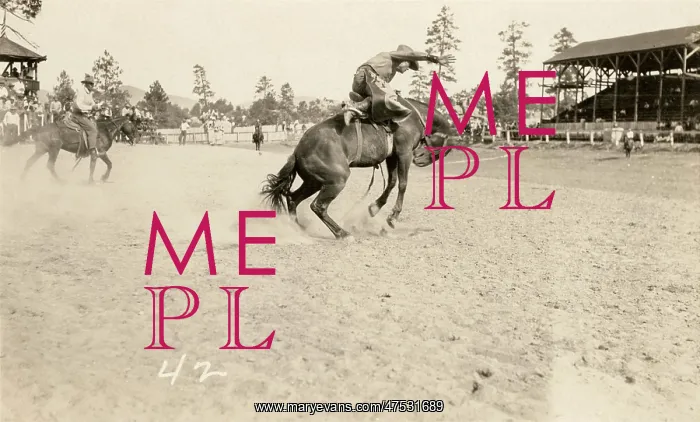  : Cowboys at a rodeo, America