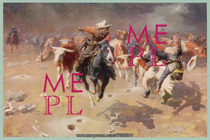 : Cowboys and Stampede : Cowboys and Stampede