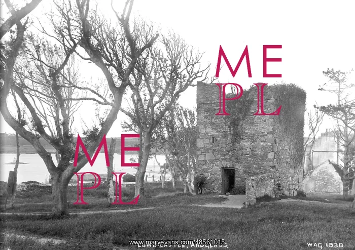 : Cowd Castle, Ardglass : Cowd Castle, Ardglass