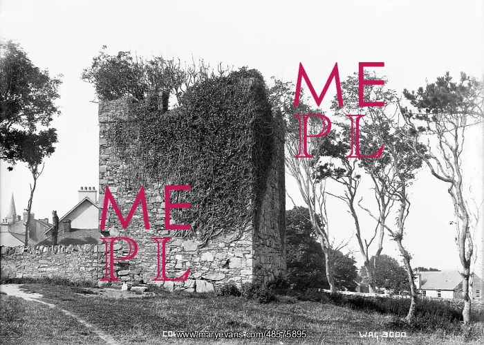 : Cowd Castle, Ardglass : Cowd Castle, Ardglass