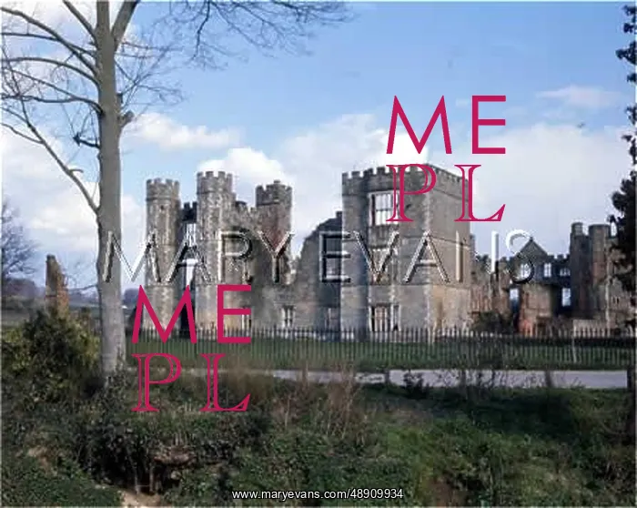 : COWDRAY CASTLE : COWDRAY CASTLE